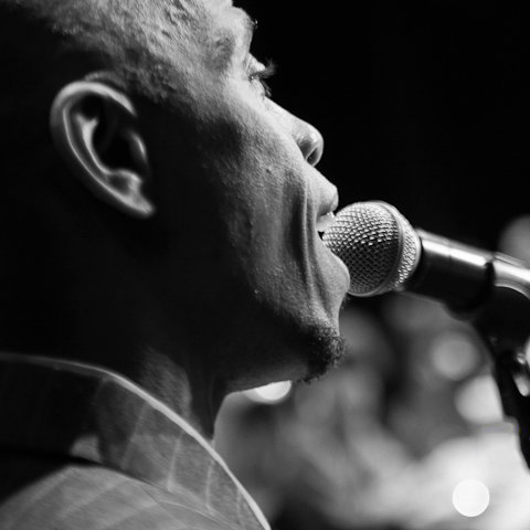 Ty Stephens Photo Galley photo